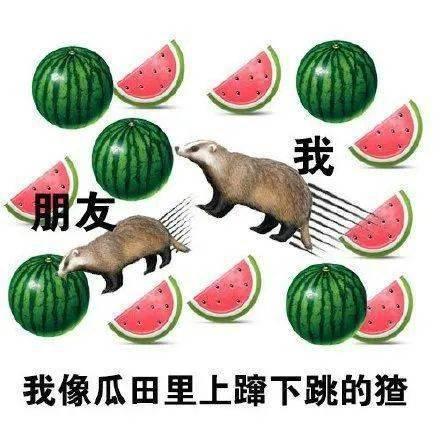 伙伴娱乐吃瓜